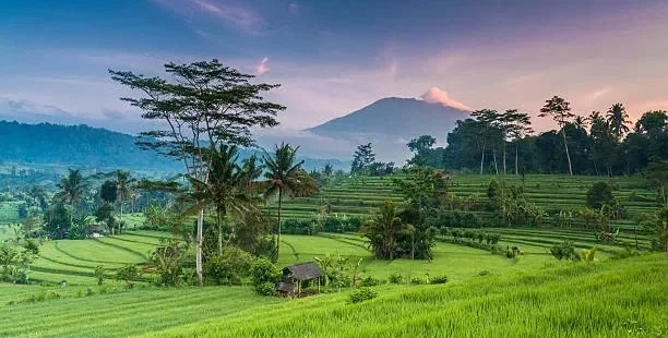 Mount Agung
